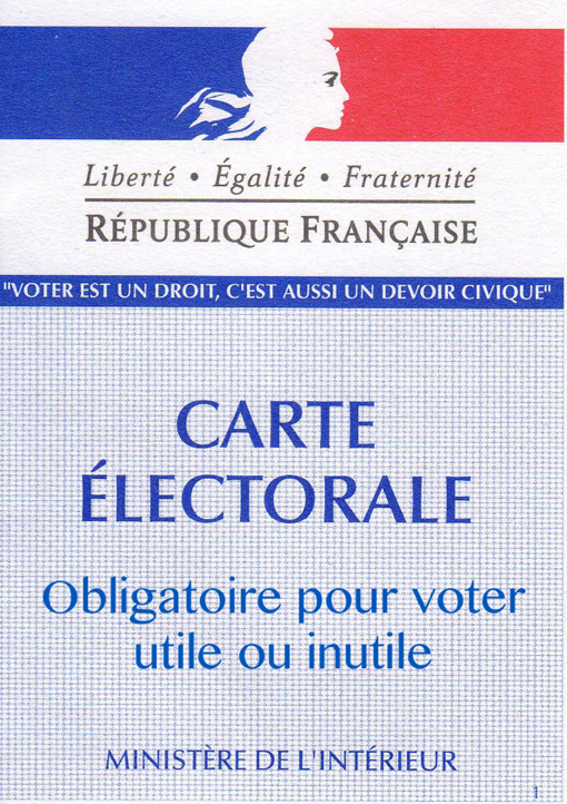 carte-electorale-pour-voter-utile-ou-inutile